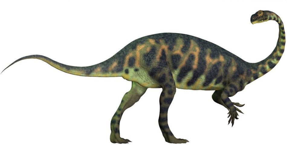 Smallest sauropodomorph dinosaur from Jurassic Period revealed by fossil